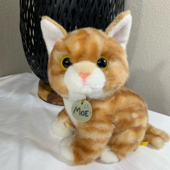 Aurora Miyoni Cat FOR SALE! - UK - View #3